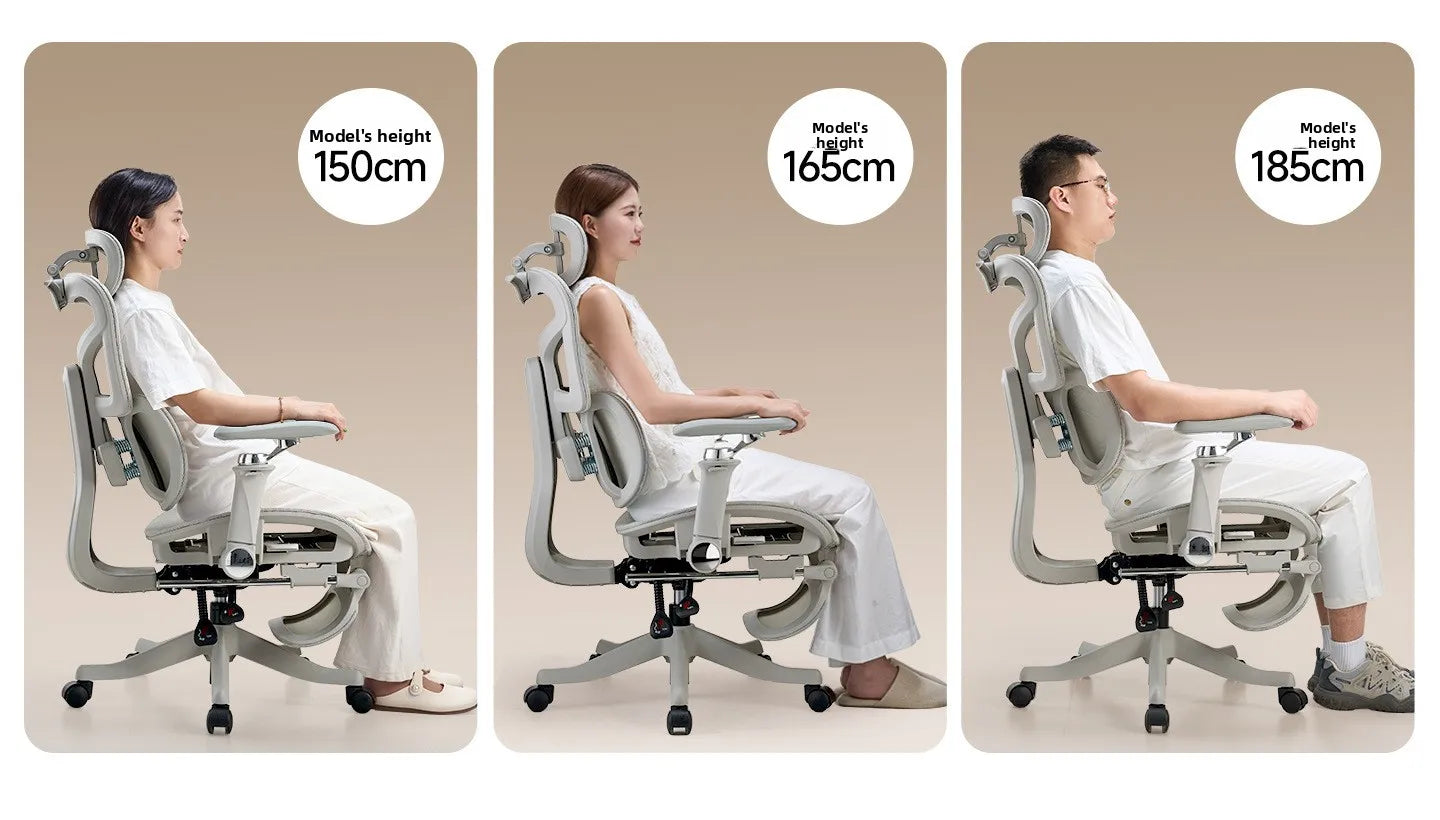 Stable New Ergonomic Chair, Computer Chair, Office Chair, Study Chair, Gaming Chair, Conference Chair, S950-3
