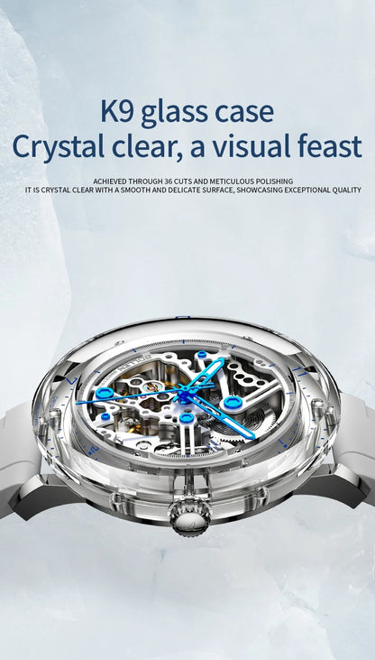 Luxury Brand Mens Automatic Watches Pagani Design Transparent Mechanical Watch For Men Sport Mechanical Skeleton Wristwatch Relo