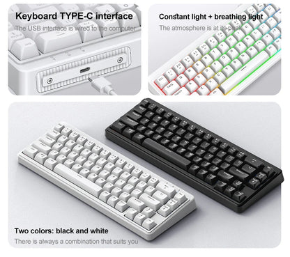 FREEWOLF M68SE Mini-Tastatur mit 68 Tasten, kabelgebunden, RGB-Hintergrundbeleuchtung, Type-C, 68-%-Layout, kompakt, für Gaming, Büro, PC und Laptop