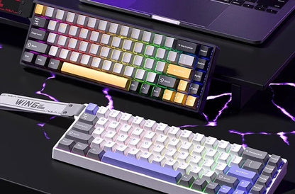 AULA WIN60 HE Magnetic  Keyboard Wired Trigger 8K Return Esports Gamer Customize RGB Mechanical Gaming Keyboard