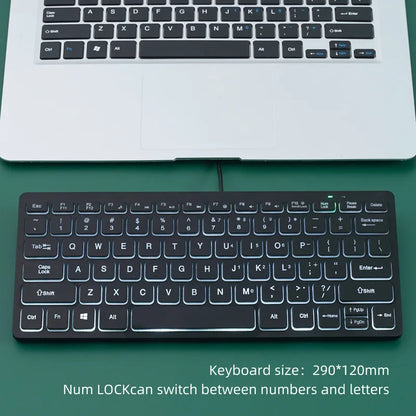Mini tastiera cablata APAYADO K1000 - Design compatto e portatile, plug-and-play, ideale per laptop/computer, resistente agli schizzi