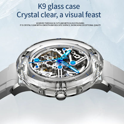 Luxury Brand Mens Automatic Watches Pagani Design Transparent Mechanical Watch For Men Sport Mechanical Skeleton Wristwatch Relo