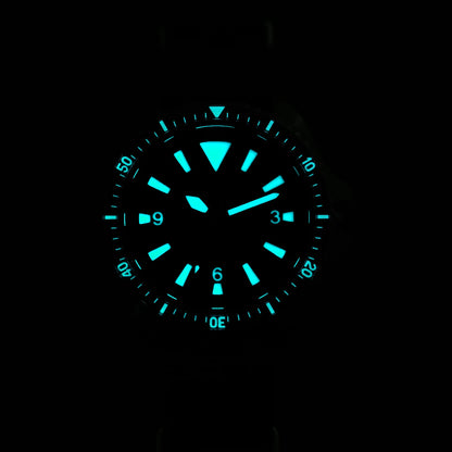 Watchdives WD1980 V3 Quartz Watch 100m Waterproof BGW9 Luminous Nylon Strap Watch Sapphire VH31 Movement Men Watch with Gift Box