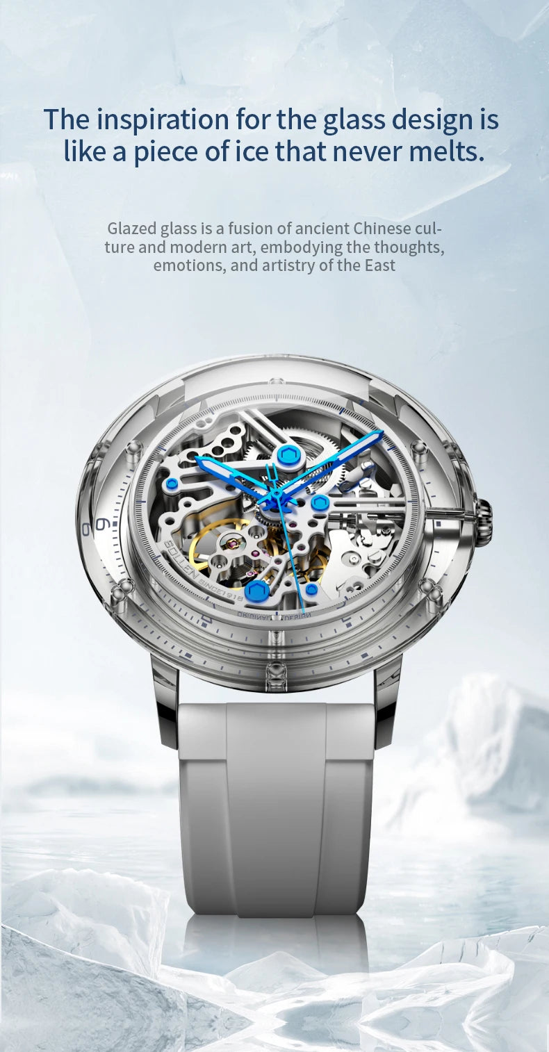 Luxury Brand Mens Automatic Watches Pagani Design Transparent Mechanical Watch For Men Sport Mechanical Skeleton Wristwatch Relo