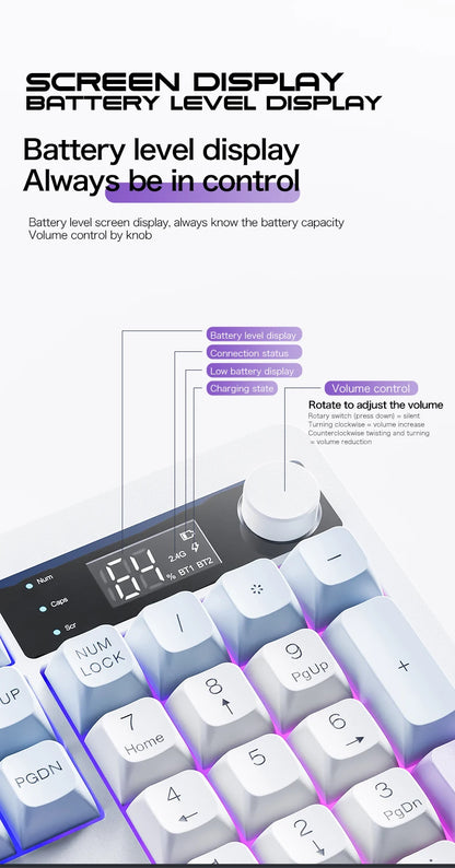 XUNFOX TK100 tastiera wireless 2.4 Bluetooth dual-mode gaming silenziosa per ufficio e notebook, universale