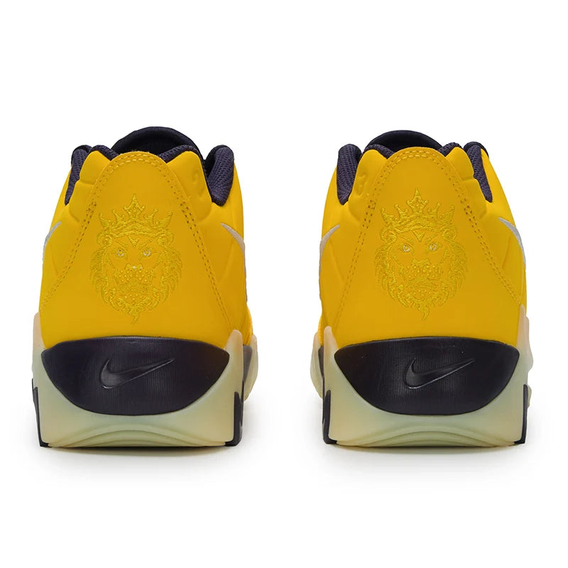 Nike Women's Shoes Lebron Witness Ix (Gs) Sports Casual Shoes Competition Training Basketball Shoes Hv2270-700