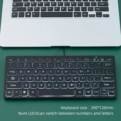 Mini tastiera cablata APAYADO K1000 - Design compatto e portatile, plug-and-play, ideale per laptop/computer, resistente agli schizzi