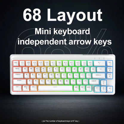 FREEWOLF M68SE Tastatur mit mechanischem Tippgefühl, 68 Tasten, Mini, kabelgebunden, kompakt und leise, für Laptops, Gaming und Bürogebrauch