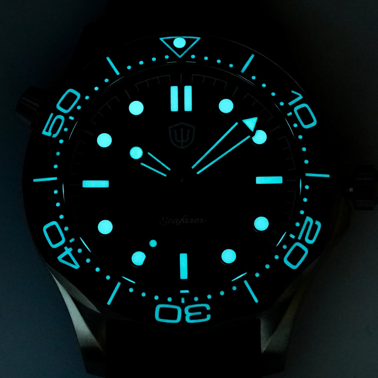 Watchdives WD007Q Diver Watch VH31 Sweep Second Quartz Movement Luminous Domed Sapphire Crystal Watches 42mm Titanium Watches