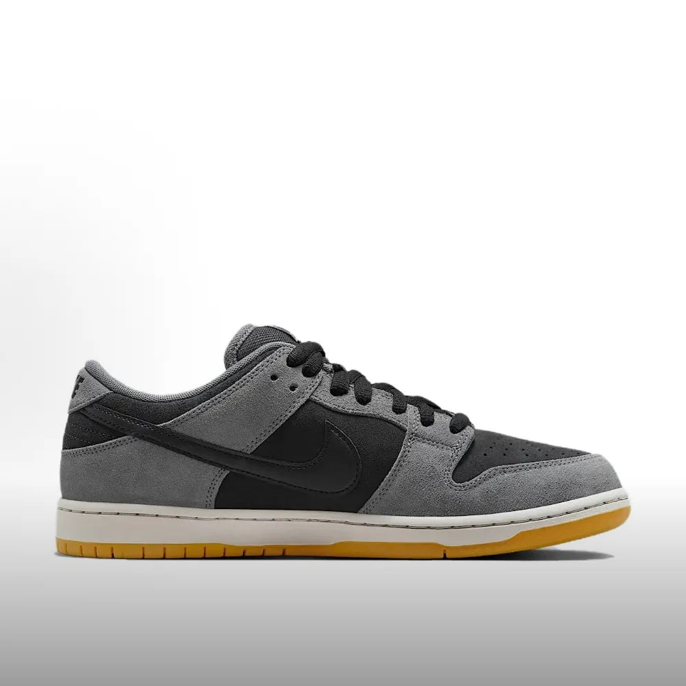 Nike Dunk SB: modni, vsestranski, vrhunsko udobni, trpežni, protizdrsni nizki športni copati za prosti čas HF3063-001