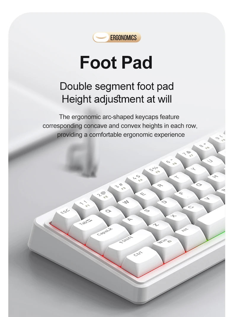 FREEWOLF M68SE Mini-Tastatur mit 68 Tasten, kabelgebunden, RGB-Hintergrundbeleuchtung, Type-C, 68-%-Layout, kompakt, für Gaming, Büro, PC und Laptop