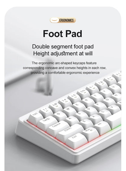 FREEWOLF M68SE Mini-Tastatur mit 68 Tasten, kabelgebunden, RGB-Hintergrundbeleuchtung, Type-C, 68-%-Layout, kompakt, für Gaming, Büro, PC und Laptop