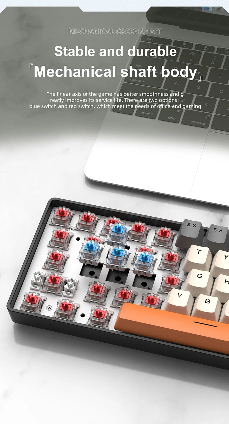Tastiera meccanica da gaming cablata mini APAYADO K61 60% Phantom RGB, 61 tasti, switch Red/Blue, ergonomica, portatile per PC/laptop