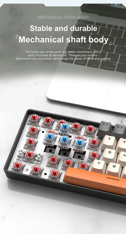 Tastiera meccanica da gaming cablata mini APAYADO K61 60% Phantom RGB, 61 tasti, switch Red/Blue, ergonomica, portatile per PC/laptop