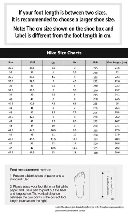 Nike Court Series New Men's Autumn and Winter High-Top Sneakers Aa0547-001