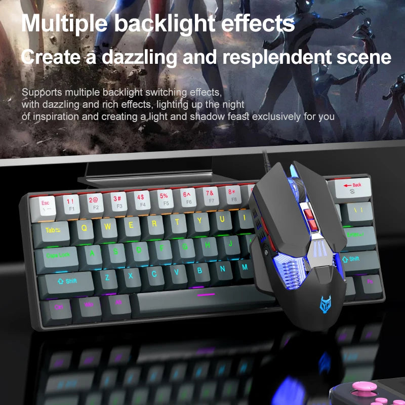 APAYADO K61 Mini Mechanical Keyboard,Wired,61 Keys,Phantom RGB, Black/White Red/Blue Mechanical Switch for Gaming,60% Portable